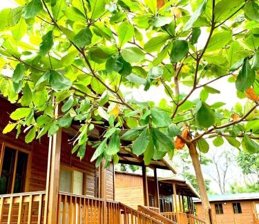 Corozal Hotel | Eco Cabañas El Cacao