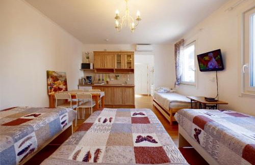 Ljubljana Apartment | ECO-LUX APART with free bicycles end free parking