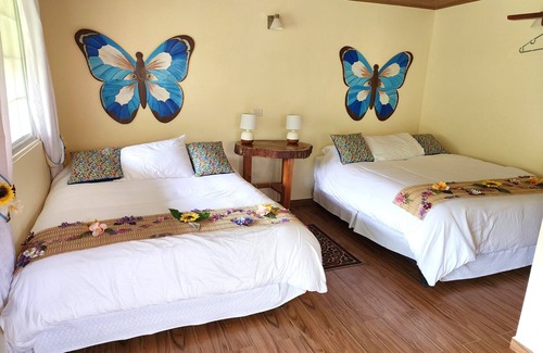 Los Naranjos Bed & Breakfast | Eco resort: Panama's largest butterfly exhibit, native bee and honey farm