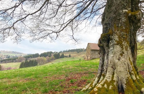 Saint-Antheme Apartment | Eco Yourte Les Airelles
