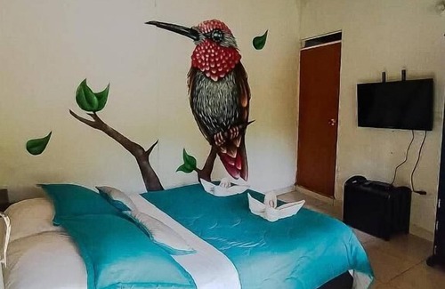 Salento Hotel | EcoHotel Colibrí