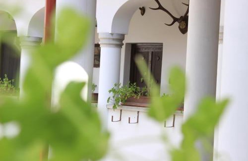 Eger Bed & Breakfast | Eden Panzió