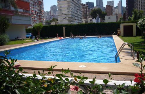 Benidorm Apartment | Edimar - Fincas Arena