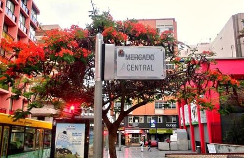 Las Palmas de Gran Canaria Apartment | Edison Building By CanariasGetaway