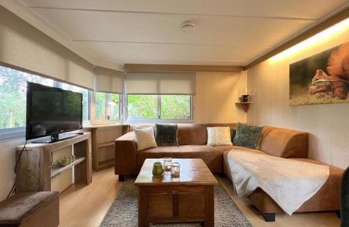 Hulshorst Ski Chalet | Eekhoorn