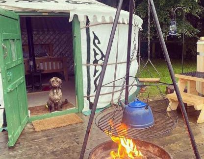 Coxwold Other | Eisa Yurt