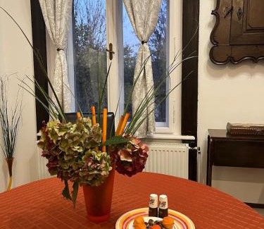 Koszeg Apartment | Eitner Villa Apartman