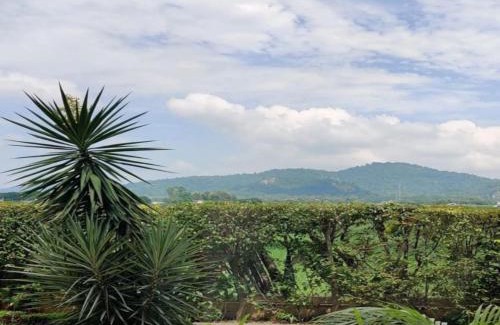 Dhela Apartment | Eiyuu Hotels - Corbett Wildlife & Nature Stays