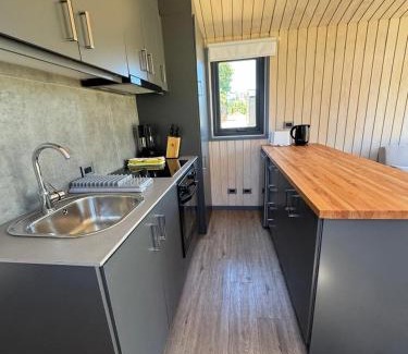 Panguipulli House | El árbol y la loica