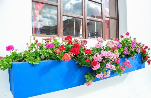 Otavalo Hotel | El Andariego
