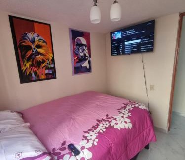 Venustiano Carranza Apartment | El depa de Natalia a min de aeropuerto y estadio GNP
