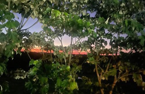 Necocli Other | El Encanto de las Aguas