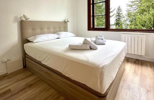 Enveitg Apartment | El niuet de Montana Park, alojamiento en Enveitg