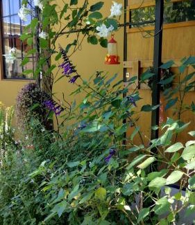 Province of Rio Negro Apartment | El Nogal Viedma