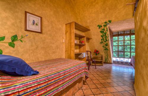 Montezuma Hotel | El Sano Banano Beachside Hotel