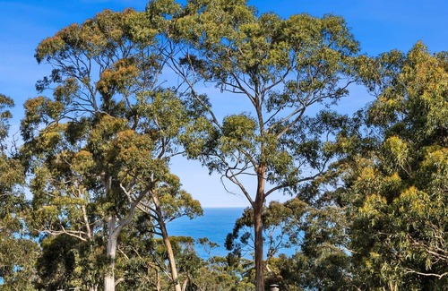 Kennett River House | Elandra - Fun For Everyone
