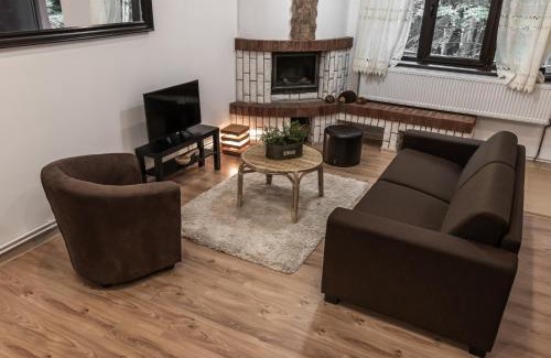 Sinaia Ski Chalet | Elatos Luxury Villas Erato