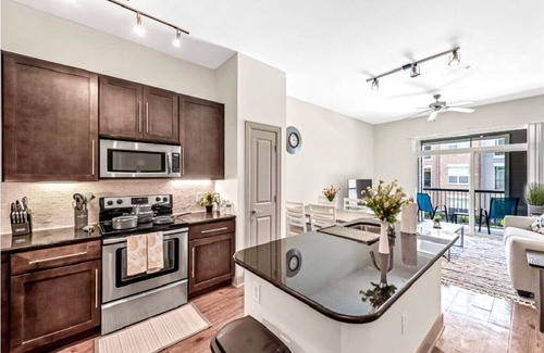 Astrodome Apartment | Elegant 1BR| Ideal for Long Term Stay
