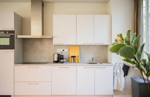 Nieuwe Werk Apartment | Elegant Oasis 2BDR Apartment WS