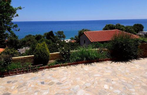 Zagora-Mouresi Villa | Eleni's House Chorefto