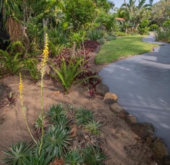 St. Lucia House | Elephant Coast Guesthouse