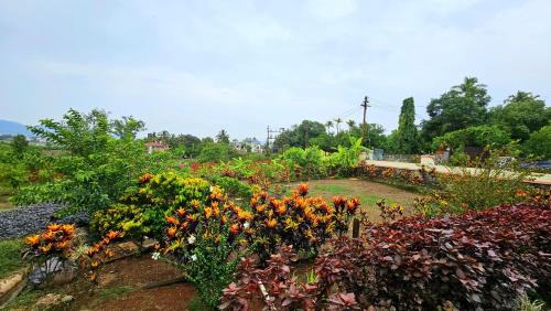 Waksai Villa | Elephant House Luxury Villa with Curve Pool-Colossal Garden-Panoramic View