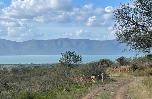 Pongola Apartment | Elephant Kraal - Avery House