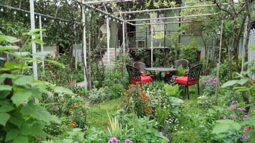 Kutaisi House | Eleven Guest House