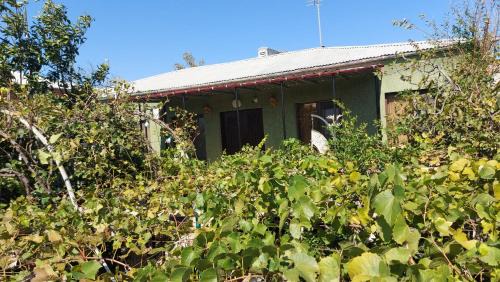 Kutaisi House | Eleven Guest House