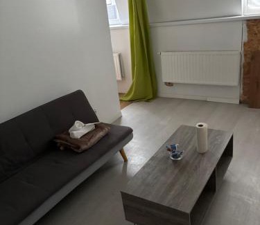 Sint-Jans-Molenbeek Apartment | Eliza home