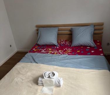 Sint-Jans-Molenbeek Apartment | Eliza home