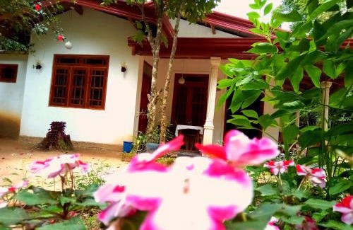 Ambagollapathana House | Ella Jungle Inn Homestay And Tree House