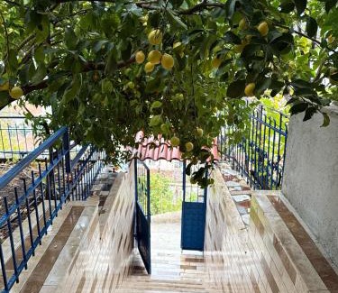Berat Villa | Elli's Villa