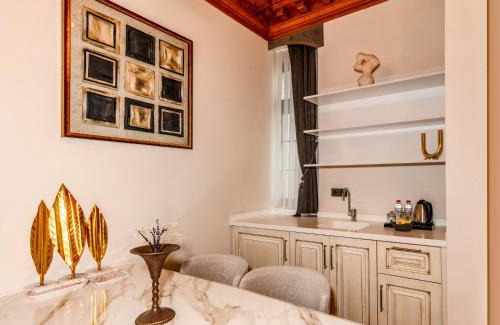 Pera Hotel | Elmira Pera Hotel & - Special Class