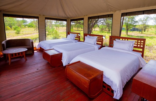 Serengeti National Park Other | Embalakai Authentic Camp