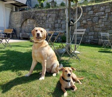 Lungern Bed & Breakfast | Emma's B&B - Self Check-in Hotel
