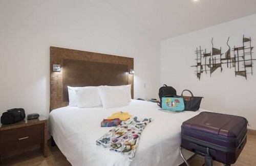 San Jose Hotel | Enjoy Bird-Watching at Parque España! Spacious Unit, Pet-friendly & FREE Parking