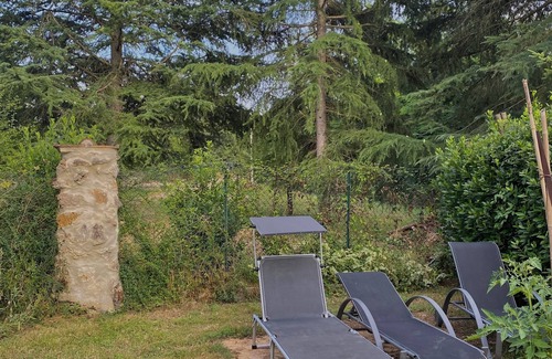 Colle di Val d'Elsa Apartment | Enjoyable apartment in the middle of Tuscany!