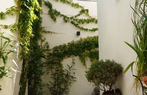 Guadalajara House | Entire Historic House in Front of the Santuario
