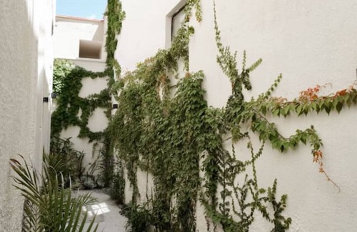 Guadalajara House | Entire Historic House in Front of the Santuario