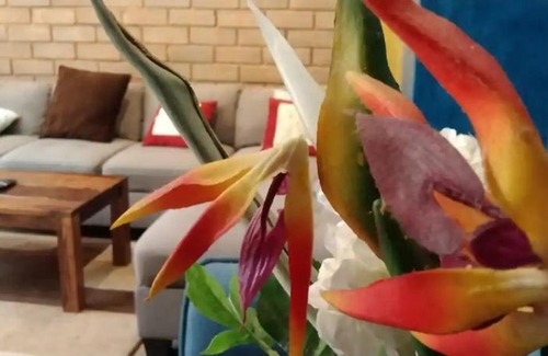 Narasapura Apartment | Entire villa Near Airport, Bangalore