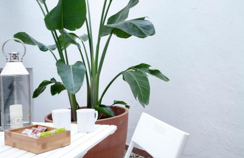 Centro Comercial Apartment | Entrenaranjos