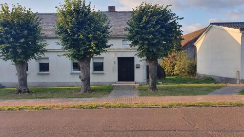 Milow Apartment | Entspanntes Wohnen Deibow