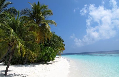 Feydhoo House | Equa Reef Maldives