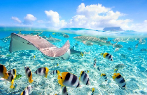 Feydhoo Hotel | Equa Reef Maldives