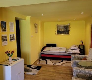 Tiszasas Apartment | Erika Vendégház