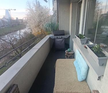 Birsfelden Apartment | ESC Basel Furnished Apartment