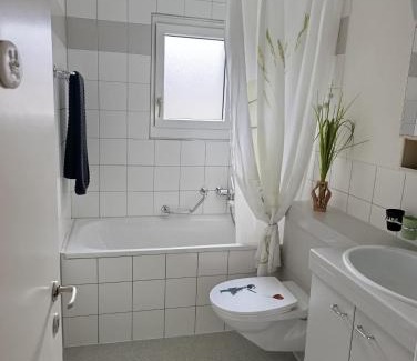 Birsfelden Apartment | ESC Basel Furnished Apartment
