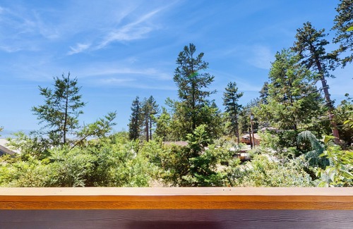 Idyllwild House | Escape to the Ultimate Mountain Retreat in Idyllwild: Stunning Views, Cozy Vibes
