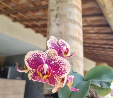 Porto da Madama House | Espaço Viva Flor